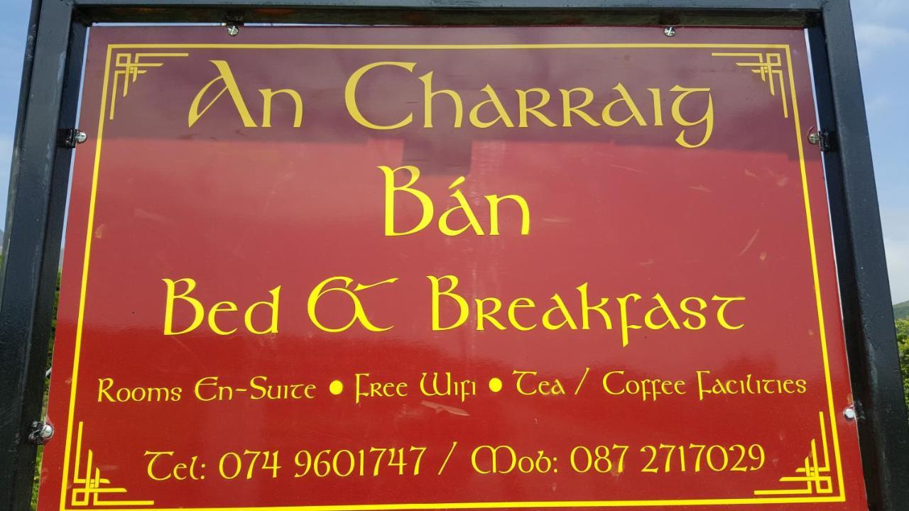 An Charraig Ban On The Wild Atlantic Way F94wt02 * Ardara