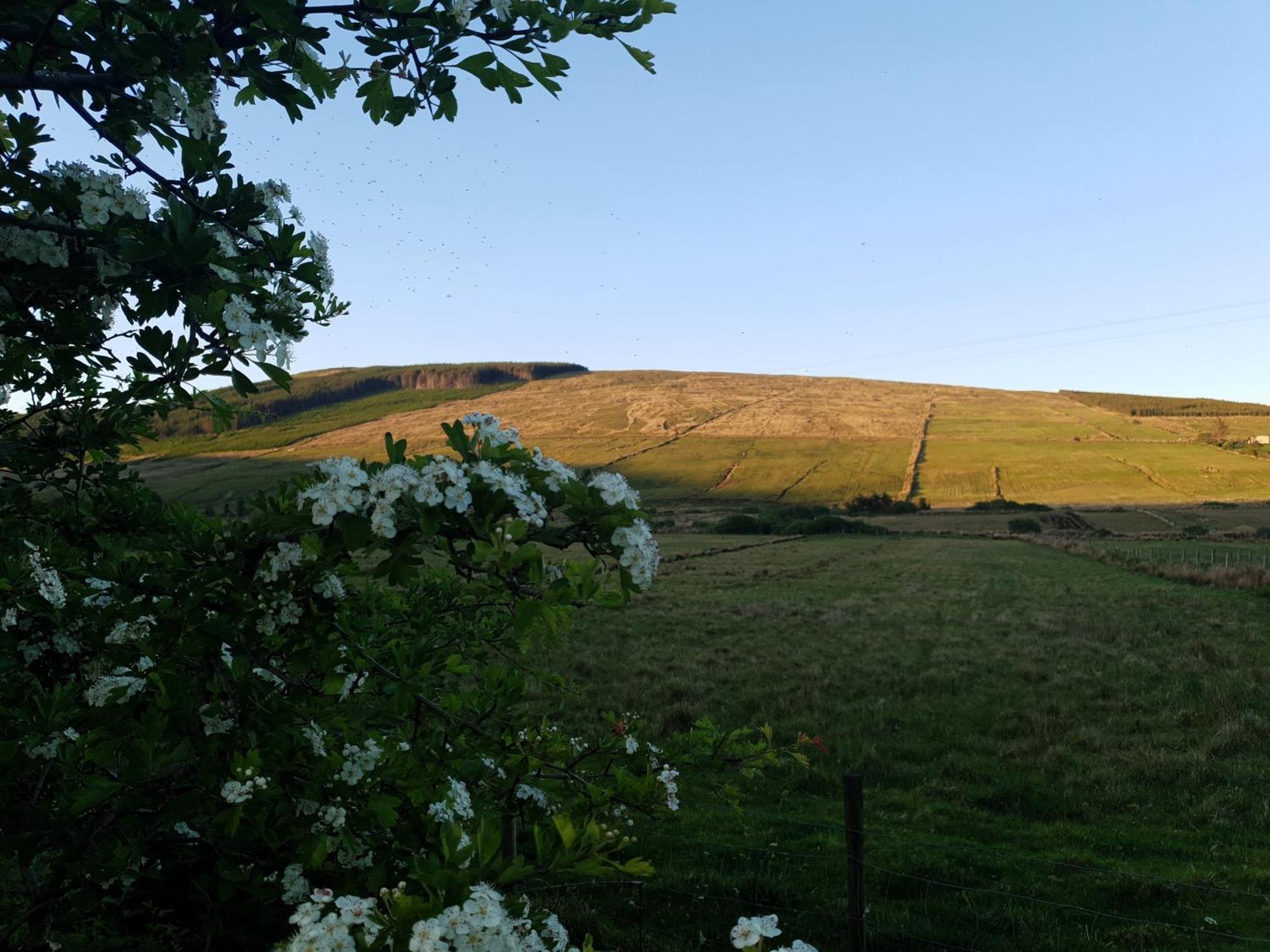 An Charraig Ban On The Wild Atlantic Way F94wt02 Bed & Breakfast